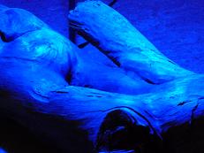 Studio Watch, 'Red, Blue, Yellow, Green'