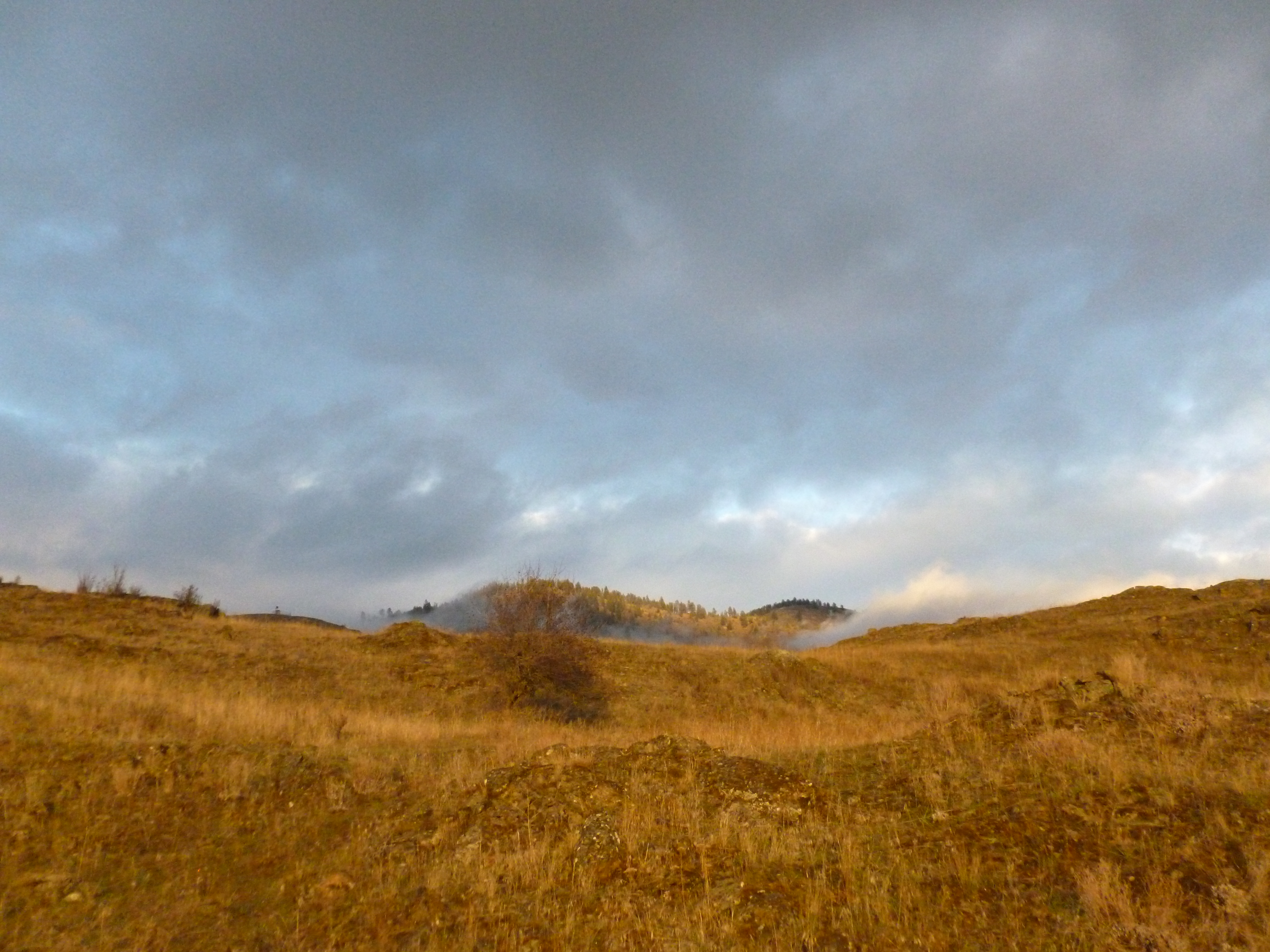 Installation Gallery Image